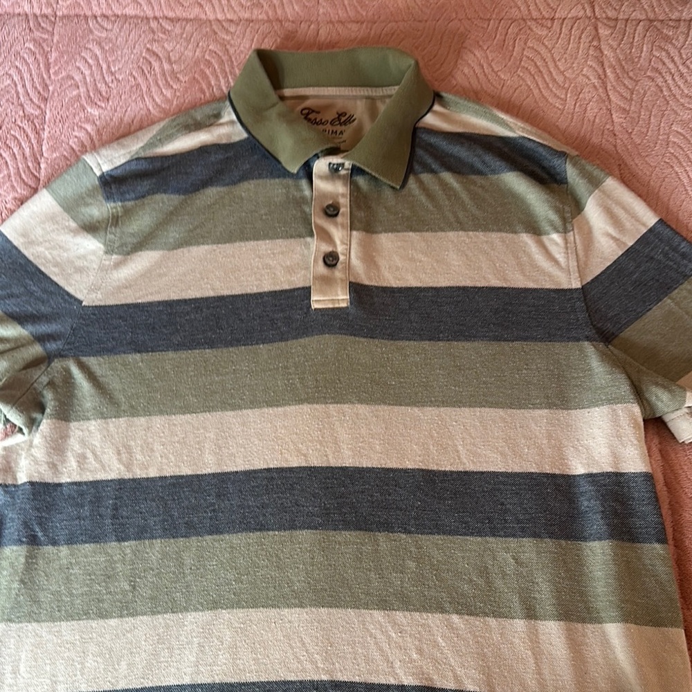 Striped Polo Shirt in Green and Gray
